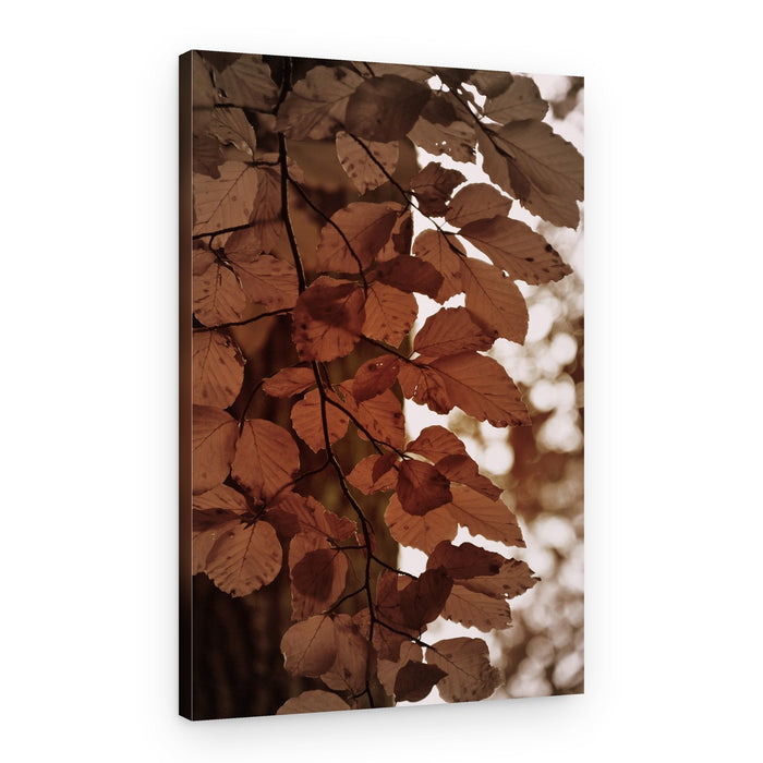 Golden Autumn Leaves – Canvas Print