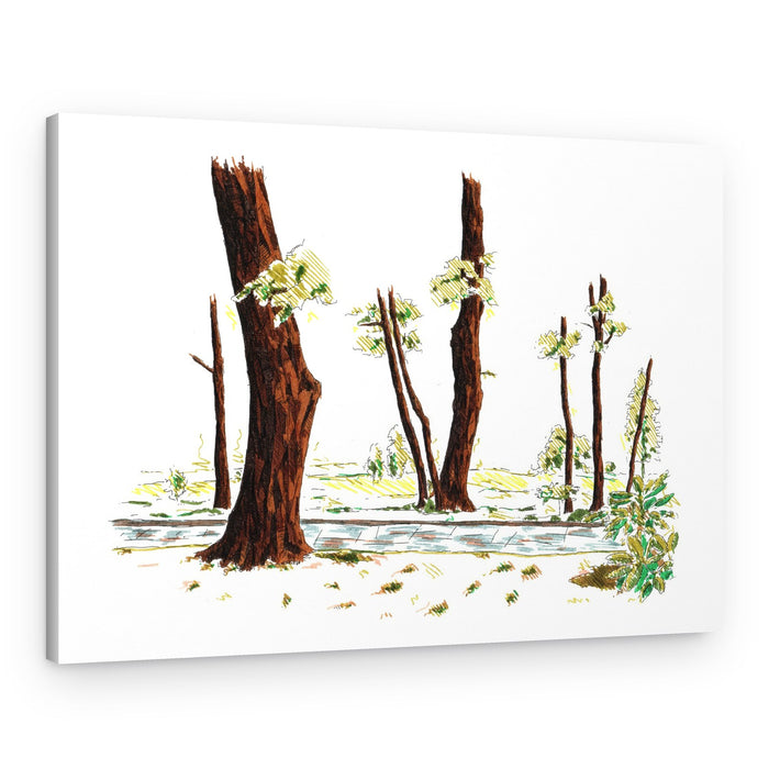Illustrated Woodland Path – Canvas Print