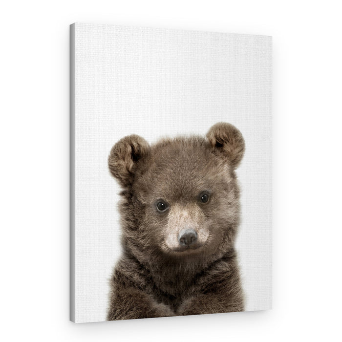 Cute Bear Cub – Canvas Print