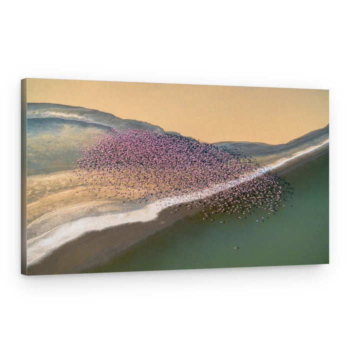 Pink Flamingos Aerial View – Canvas Print