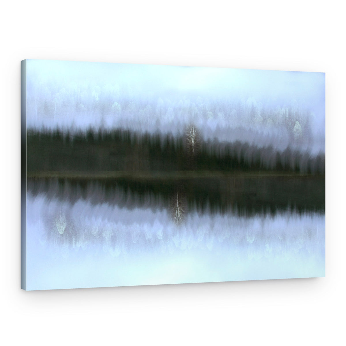 Misty Birch Reflection – Canvas Print
