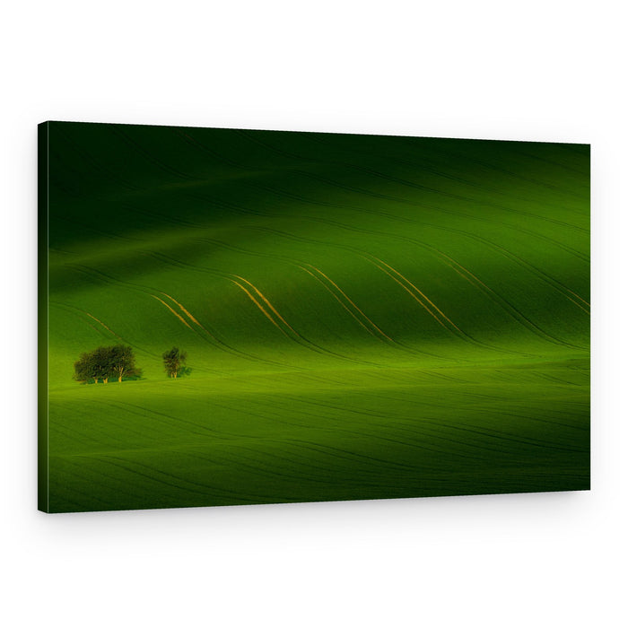 Rolling Green Hills – Canvas Print