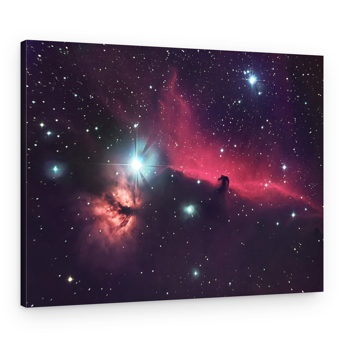 Deep Space Horsehead – Canvas Print