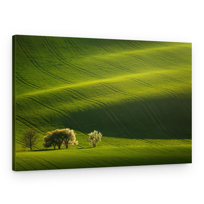 Vibrant Spring Hills – Canvas Print