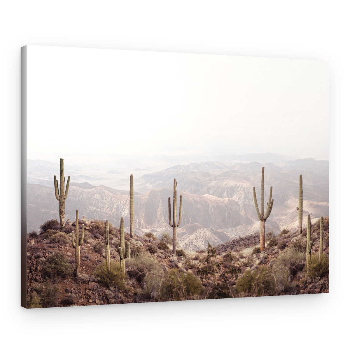 Arizona Valley – Canvas Print