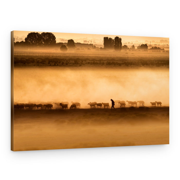 Shepherd in Golden Fog – Canvas Print