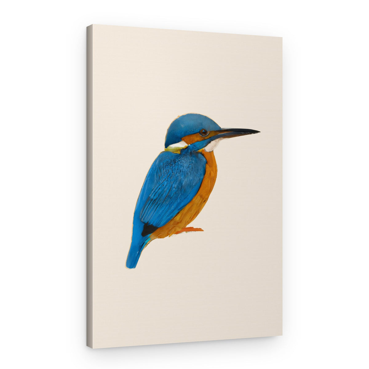 Vibrant Kingfisher Bird – Canvas Print
