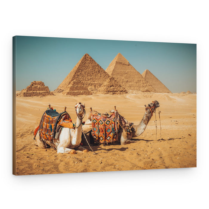 Giza Pyramids and Camels – Canvas Print