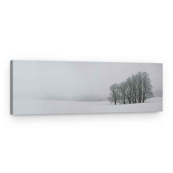 Misty Winter Grove – Canvas Print