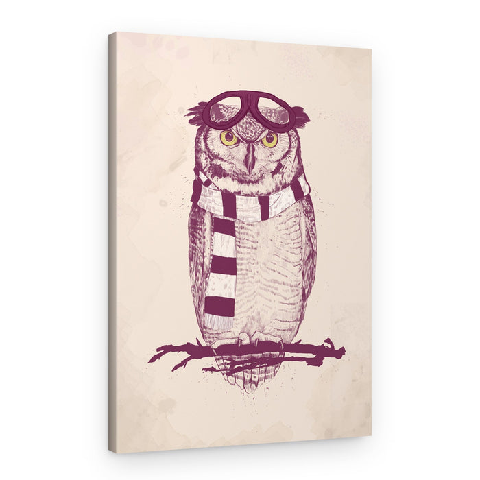 Whimsical Pilot Owl – Canvas Print