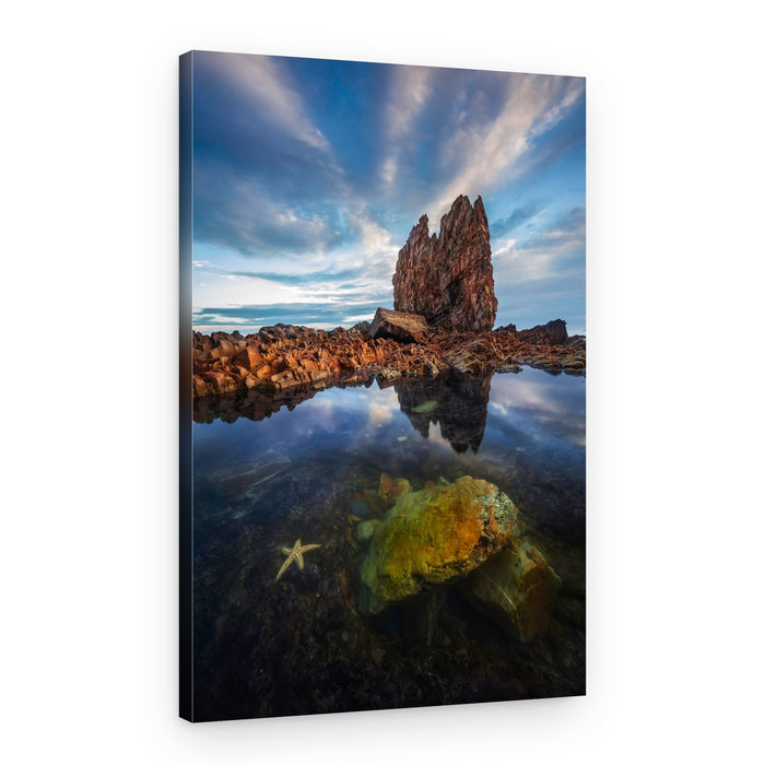 Ocean Rock Tide Pool – Canvas Print