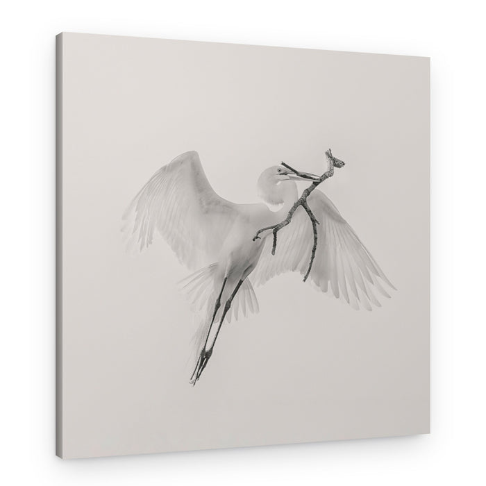 White Egret Carrying Branch – Canvas Print