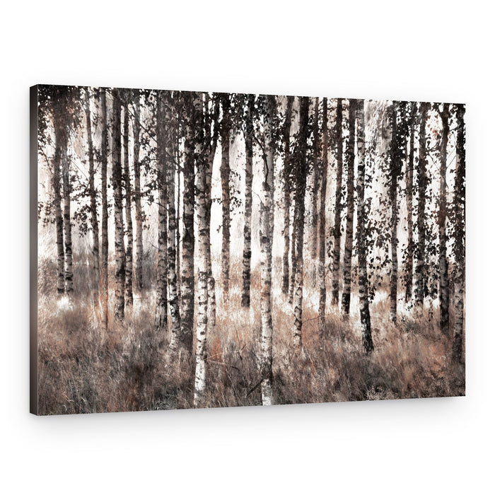 Misty Birch Forest – Canvas Print