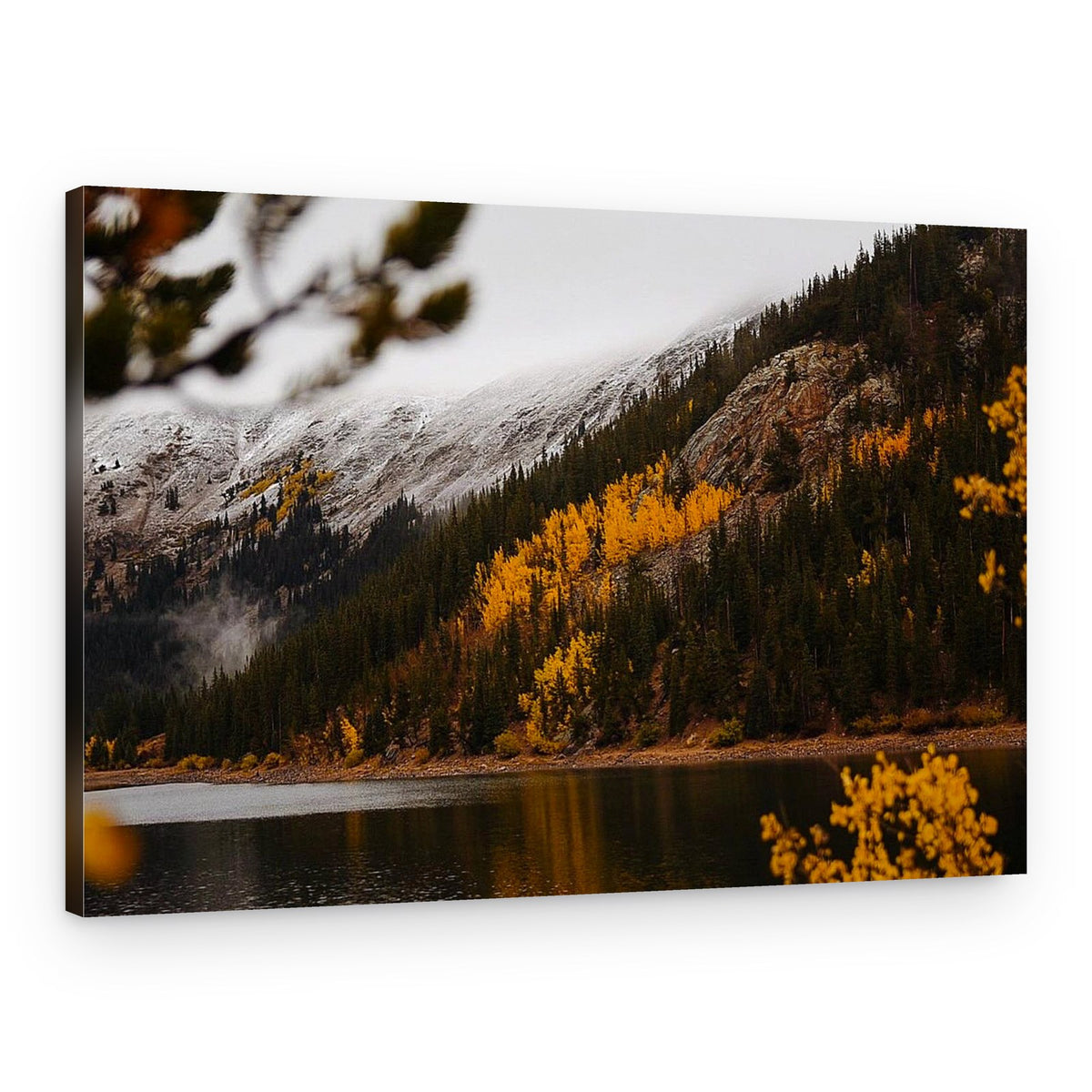 Golden Aspens Snowy Peaks – Canvas Print