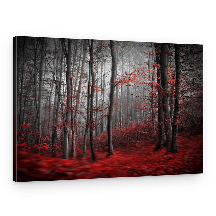 Misty Red Forest – Canvas Print