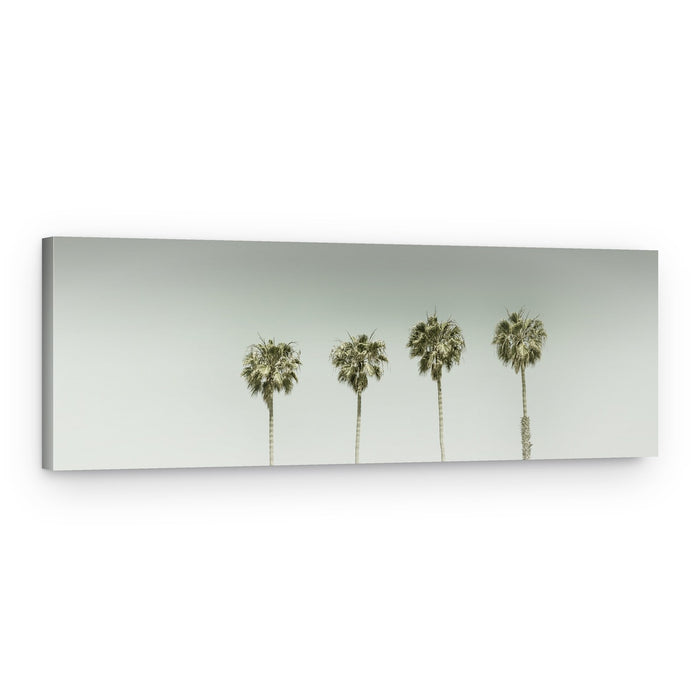 Minimalist Tropical Palms – Canvas Print