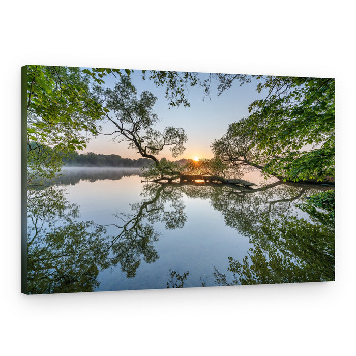 Sunrise Lake Tree Reflection – Canvas Print