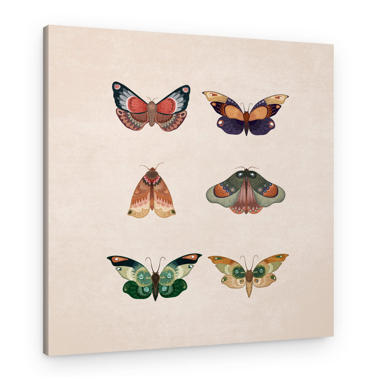 Winged Elegance – Canvas Print
