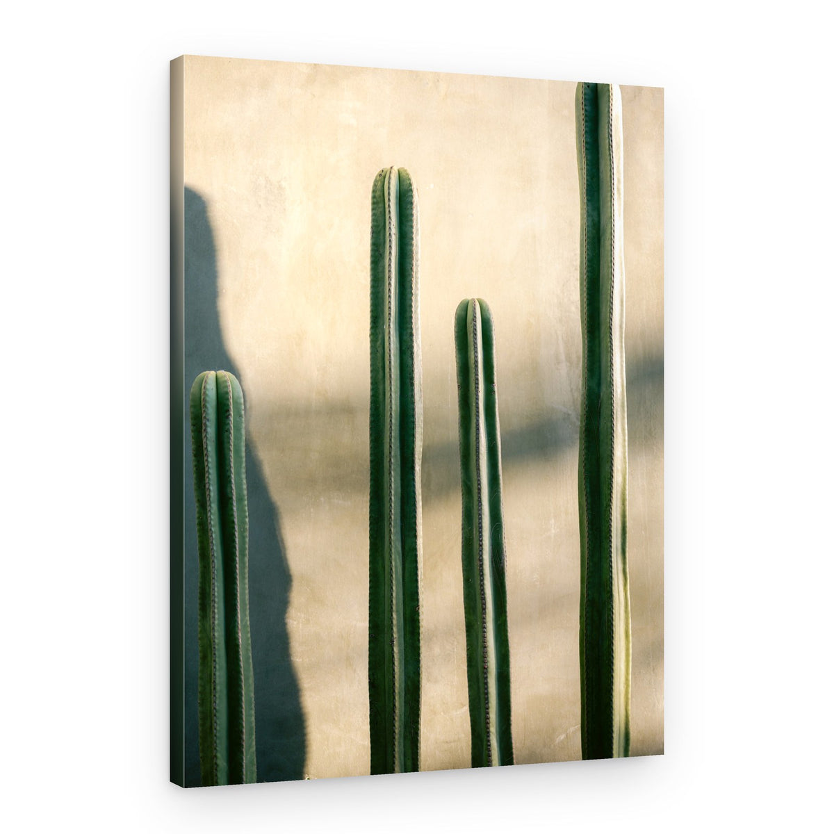 Oaxaca Shades of Green | Mexico travel photography – Canvas Print