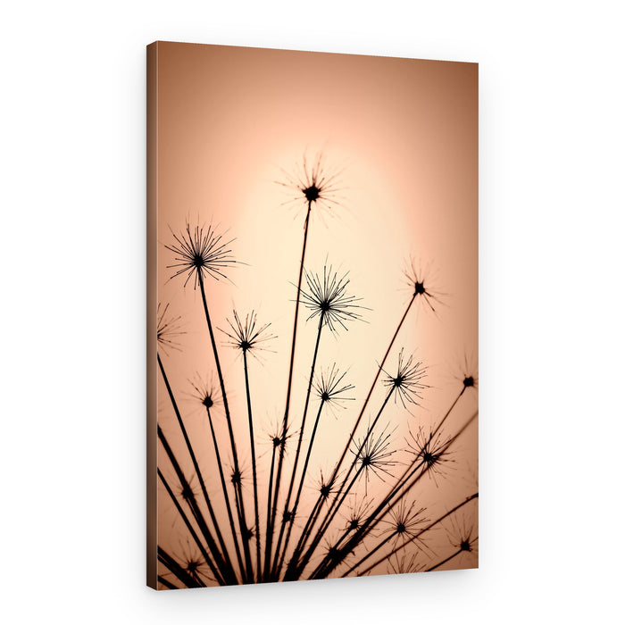 Delicate Warm Silhouettes – Canvas Print
