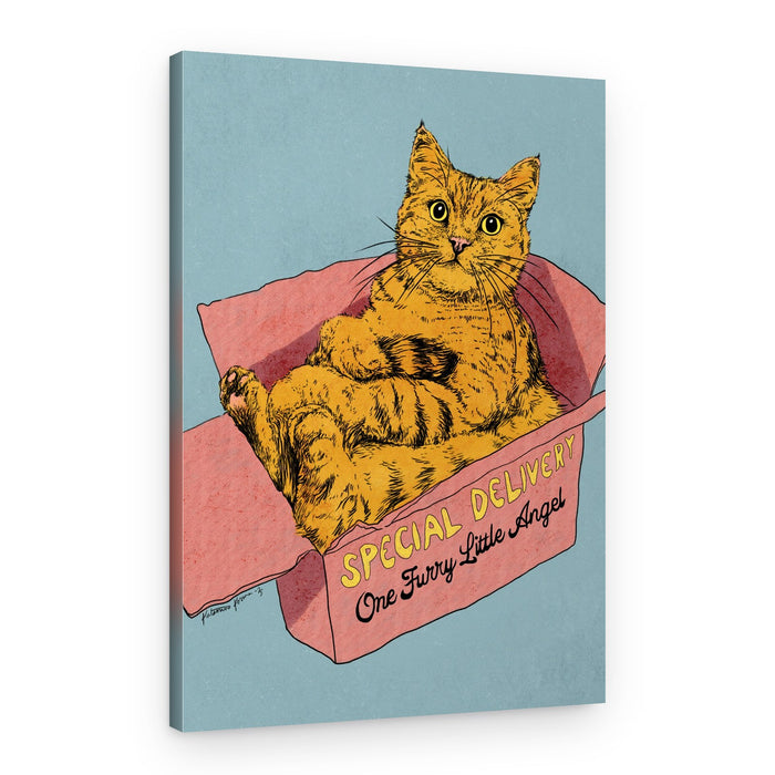 Special Delivery Cat – Canvas Print