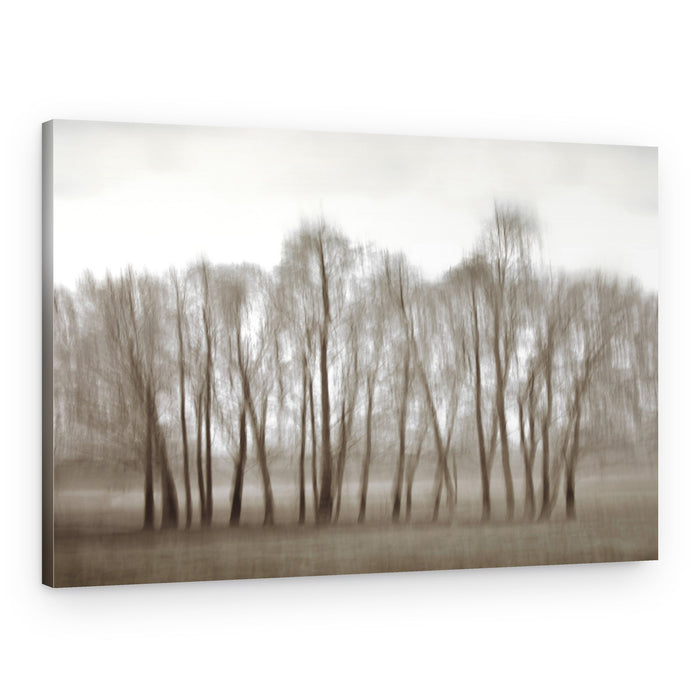 Ethereal Blurred Trees – Canvas Print