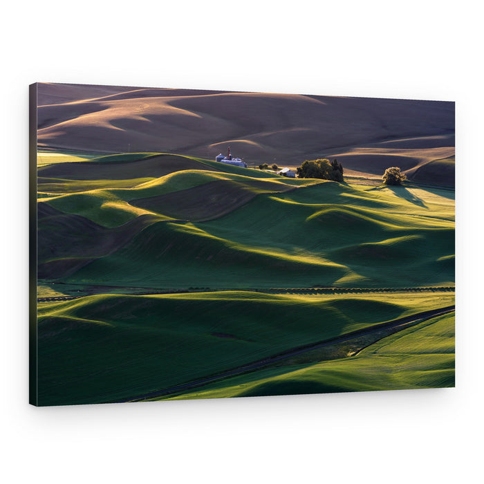 Golden Rolling Farmland – Canvas Print