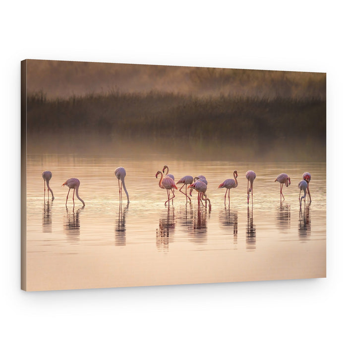 Misty Flamingo Reflections – Canvas Print