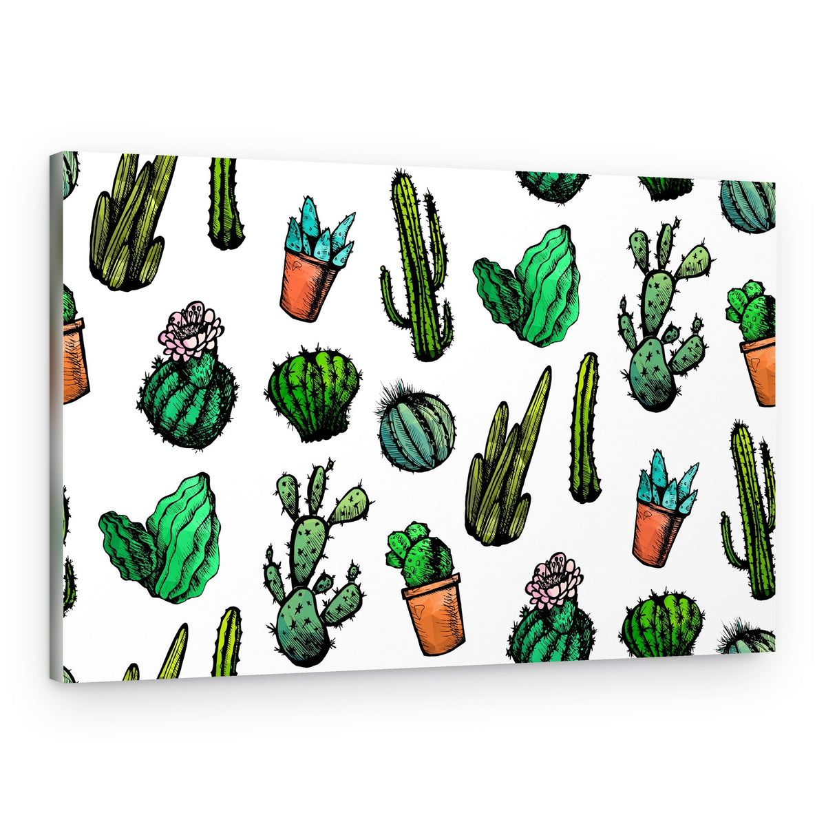 Illustrated Cacti Pattern – Canvas Print
