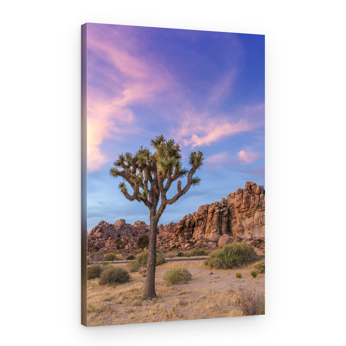 Joshua Tree Sunset Sky – Canvas Print