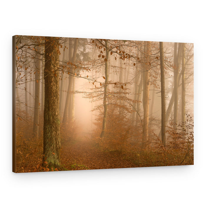Misty Autumn Forest Path – Canvas Print