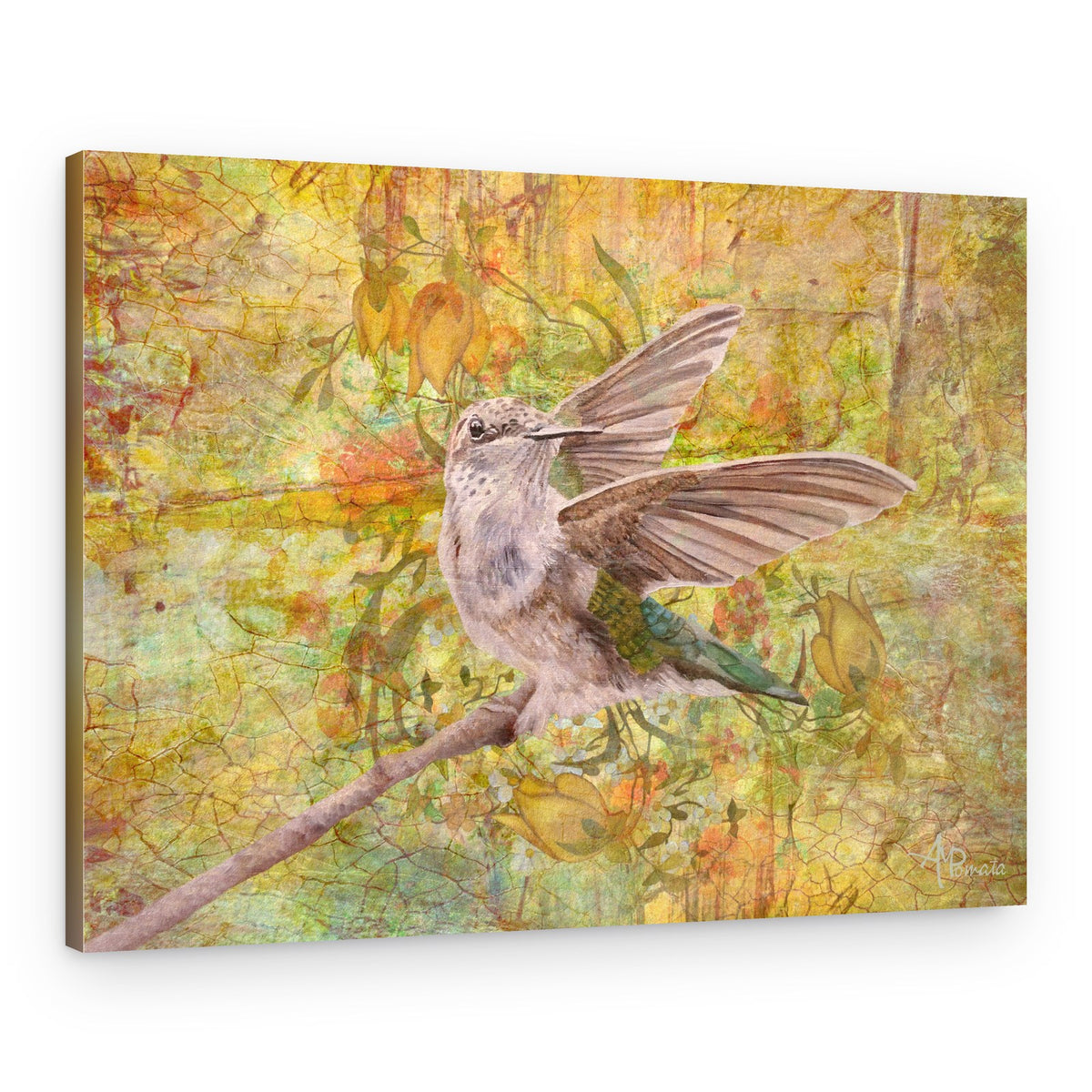 Spring Dance – Canvas Print