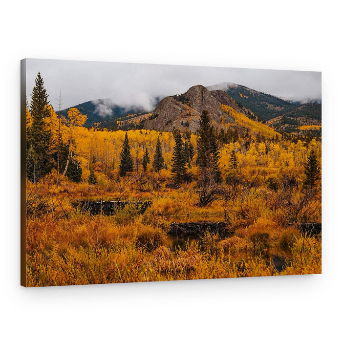 Golden Aspen Mountains – Canvas Print