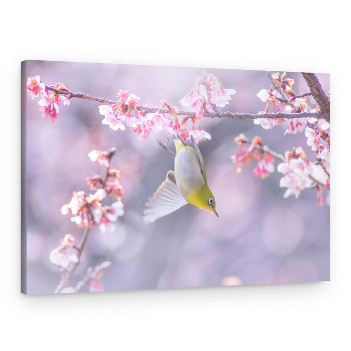 Upside Down Blossom Bird – Canvas Print