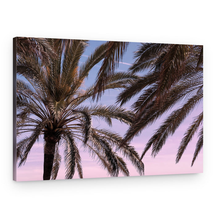 Pink And Blue Palm Sky – Canvas Print