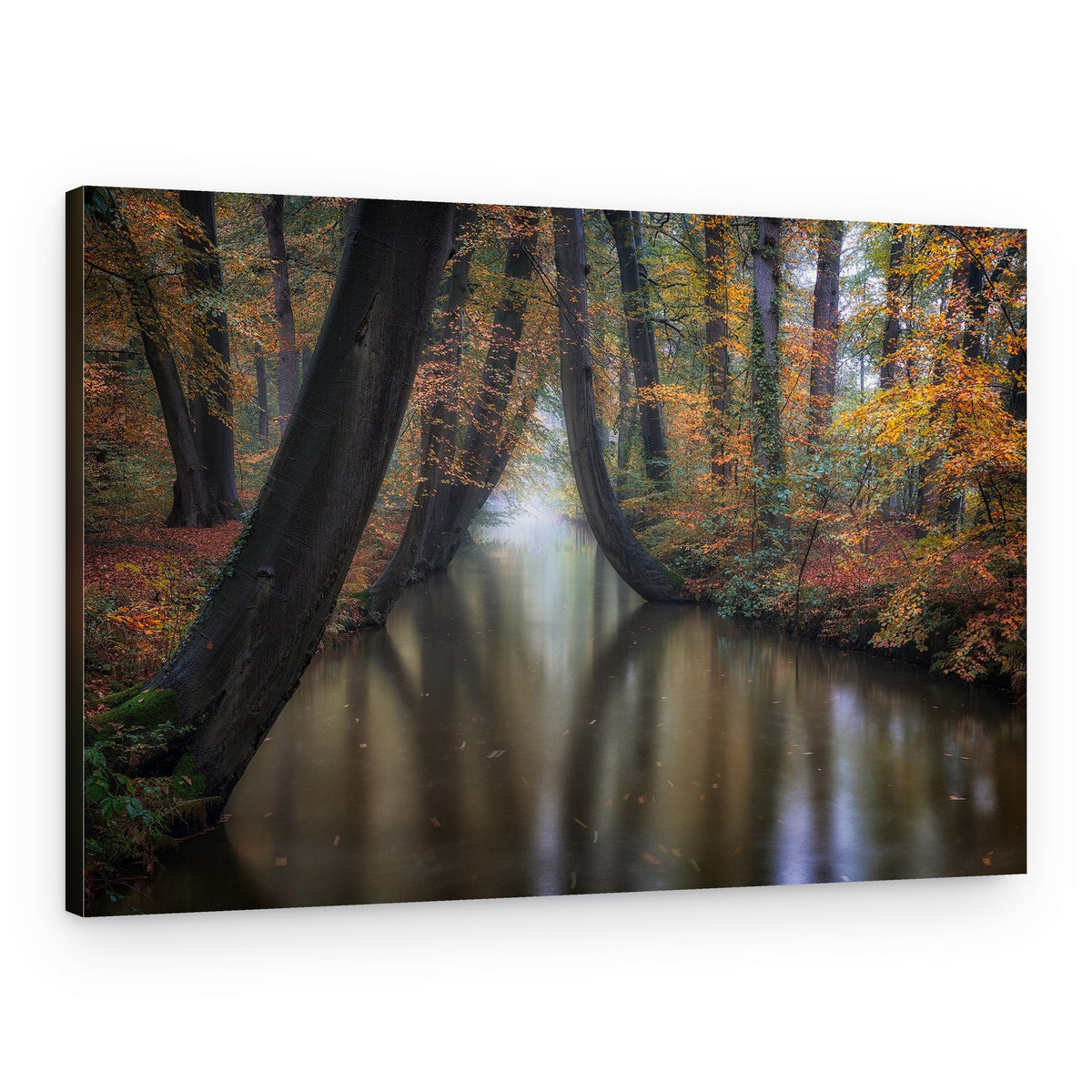 Misty Autumn Forest River – Canvas Print