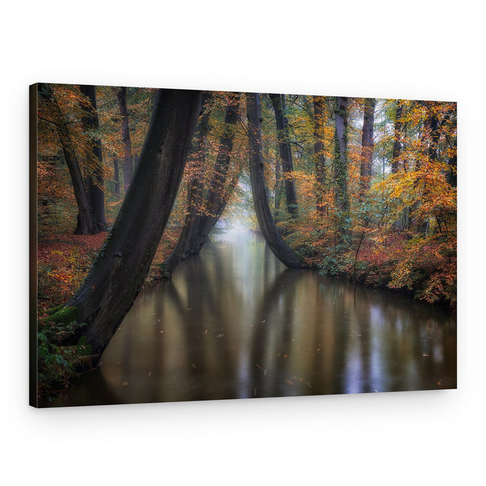 Misty Autumn Forest River – Canvas Print