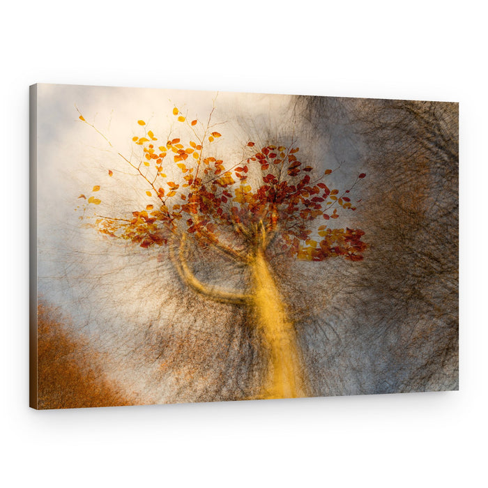 Golden Autumn Tree – Canvas Print
