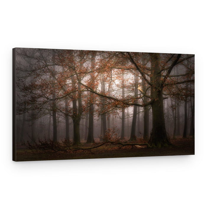Misty Autumn Forest – Canvas Print