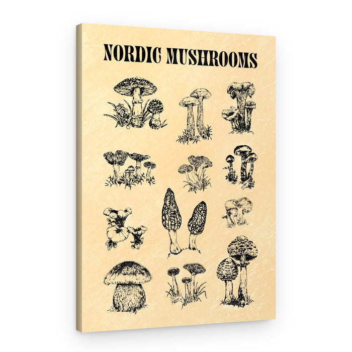 Nordic Mushroom Sketch – Canvas Print