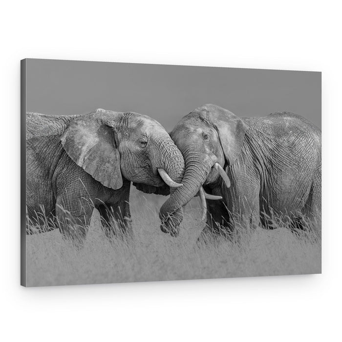 Elephant Flight – Canvas Print