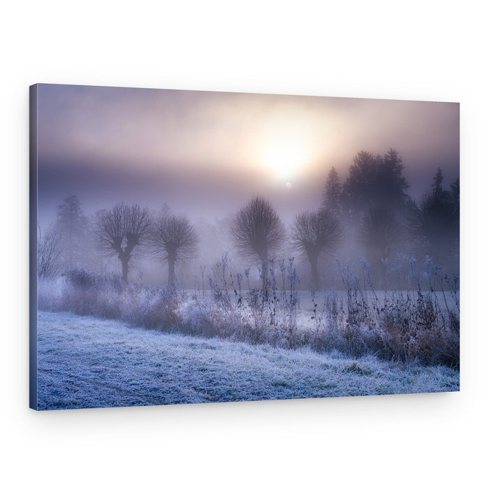 Misty Winter Morning – Canvas Print