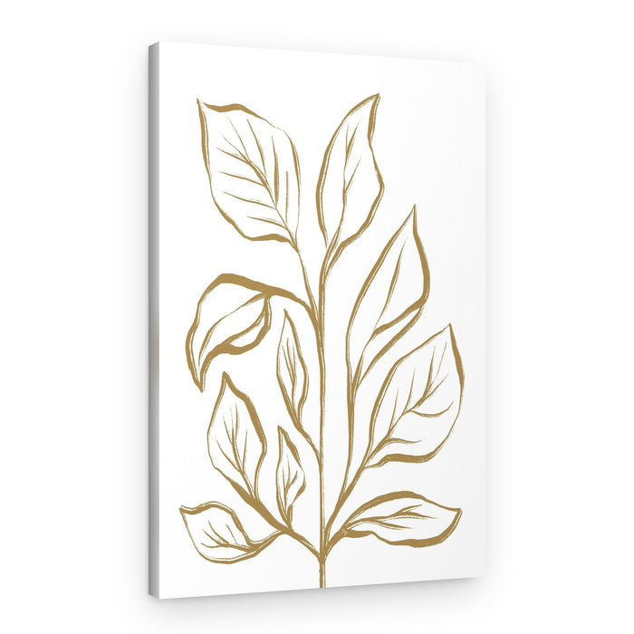 Golden Botanical Sketch – Canvas Print