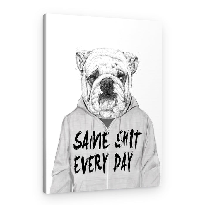 Same Shit Bulldog – Canvas Print