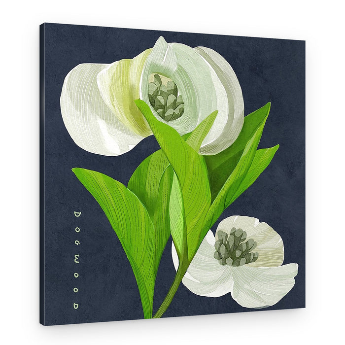 White Dogwood on Navy – Canvas Print