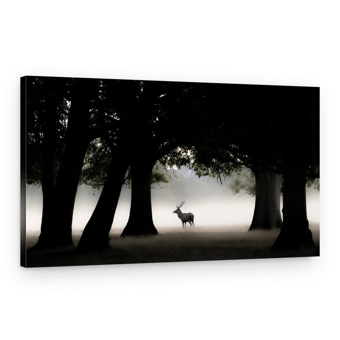 Misty Forest Stag – Canvas Print