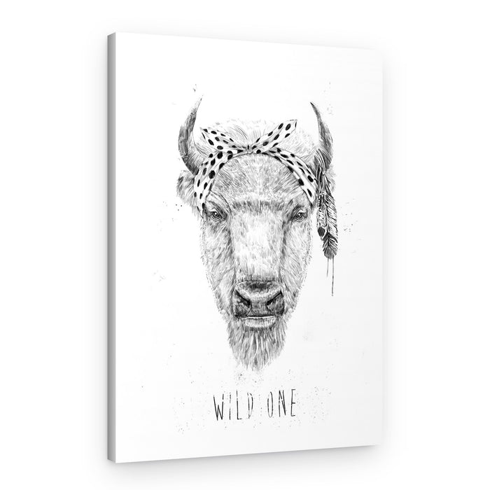 Wild One Buffalo Sketch – Canvas Print