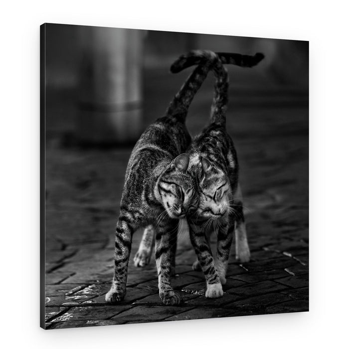 Gentle Feline Embrace – Canvas Print