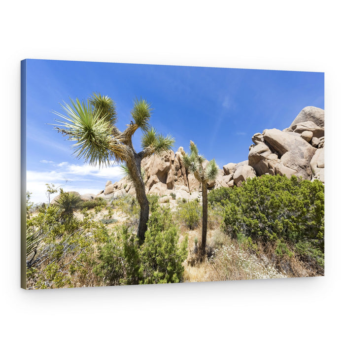 Joshua Trees Desert Landscape – Canvas Print