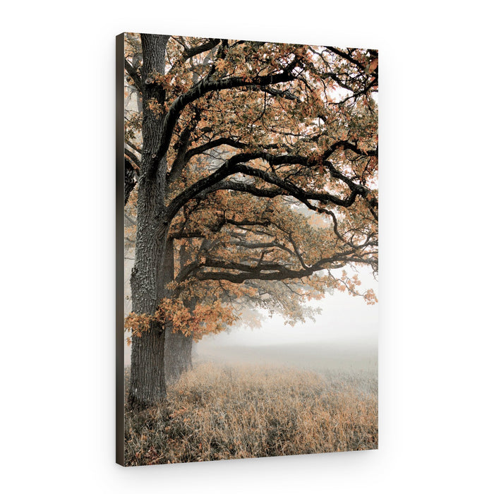 Golden Autumn Mist – Canvas Print
